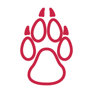 LoboPaw